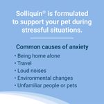 Solliquin-Soft-Chews-75-ct-for-Large-Dogs