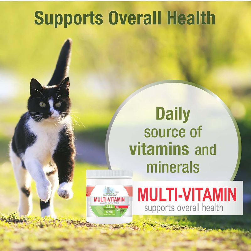 Healthy-Promise-Multi-Vitamins-For-Cats-Savory-Chicken--120-Count-