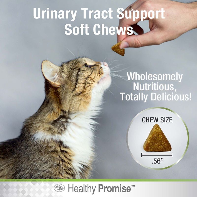 Healthy-Promise-Cat-Urinary-Tract-Soft-Chews-Chicken---Cheese--110-Count-