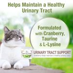 Healthy-Promise-Cat-Urinary-Tract-Soft-Chews-Chicken---Cheese--110-Count-