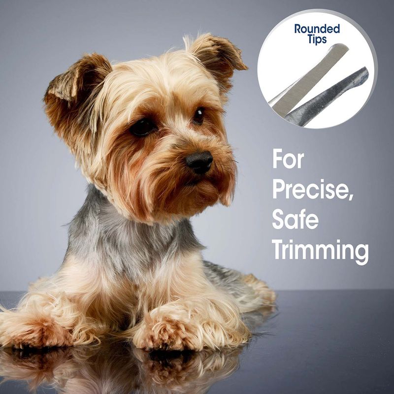 Magic-Coat-Professional-Series-Safety-Tip-Facial-Dog-Trimming-Scissors