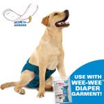 Wee-Wee-Super-Absorbent-Disposable-Dog-Diaper-Liners-10-Count