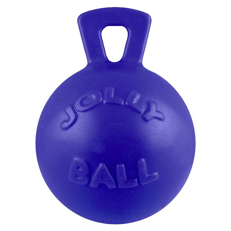 Toss-n-Tug-Jolly-Ball-8"-Blue