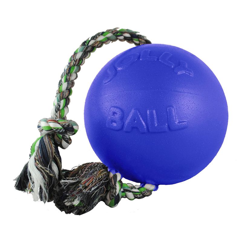 Romp-n-Ball-6"-Ball, Blue