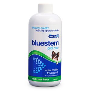 bluestem Water Addit for Dogs Only, Vanilla-Mint, 17 fl oz