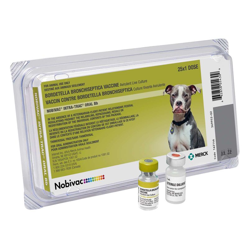 Nobivac-Intra-Trac-Oral-Bb-25x1