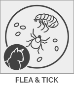 Prescription Flea and Tick Cat Prescriptions