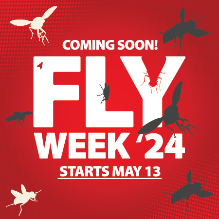 Learn about Fly Week 2024
