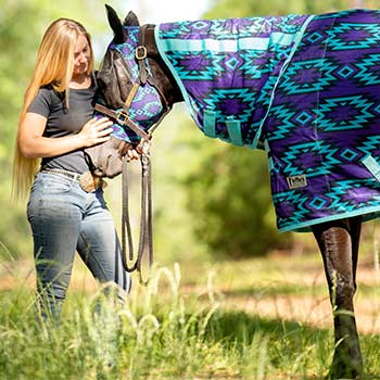 Horse running in a field wearing a fly mask and fly sheet