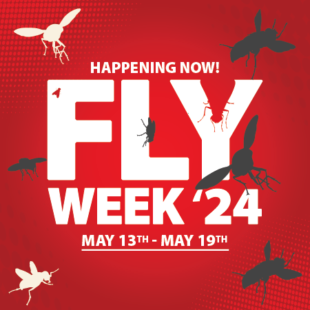 Learn about Fly Week 2024