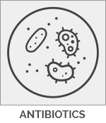 Horse Antibiotics Icon