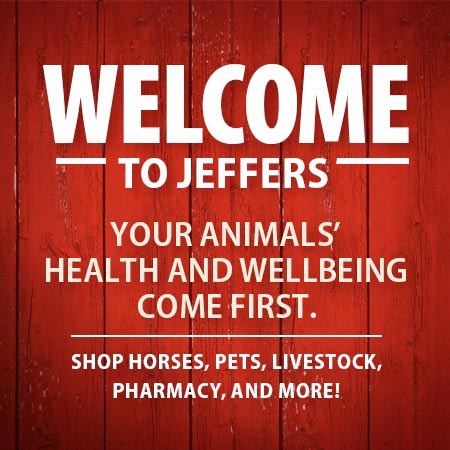 Welcome to Jeffers!  Your animals' health and wellbeing comes first.  Shop horses, pets, livestock, pharmacy, and more!