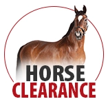 Horse Clearance
