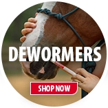 Shop Horse Dewormers