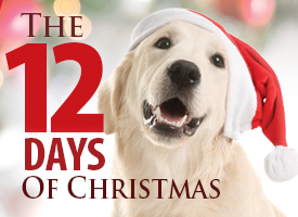 Pet 12 Days of Christmas
