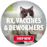 Cat Rx, Meds & Vaccines