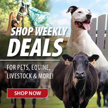 Shop Weekly Deals. Pets, Equine, Livestock, and more!