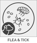 Dog Flea & Tick Prescriptions