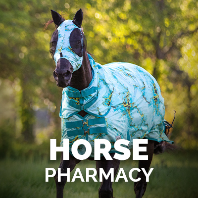 Horse in Fly Sheet and Mask | Horse Pharmacy