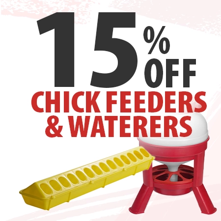 Shop Chicken waterers and feeders