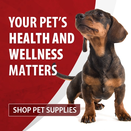 Jeffers vet best sale supply dog