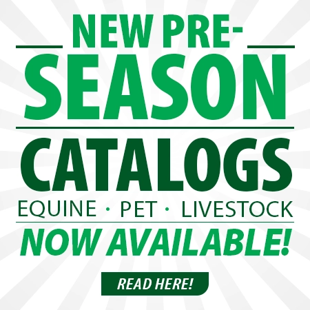 Read Our Online Catalog