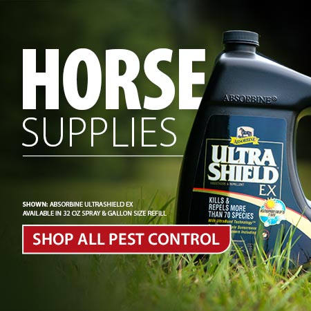 Equine Fly & Insect Control