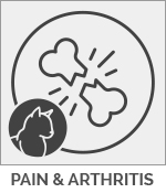Cat Pain & Arthritis 