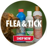 Flea and Tick Control