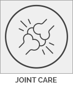 Horse Joint Care Icon