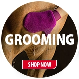 Shop Horse Grooming