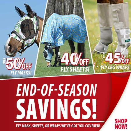 End of Season Fly Savings