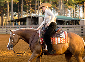 Girl in western apparel, riding horse in arena.