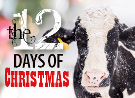 12 Days of Christmas Livestock