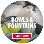 Cat Bowls & Fountains
